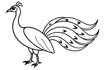 Naklejka premium Black and white peacock vector illustration with a natural bird design