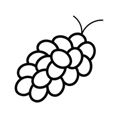  bunch of raisins vector illustration