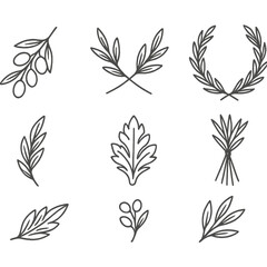 Olive Branch Icons. Line style icons of Olive Branch Motifs: single branch, crossed branches, wreath, sprig bundle, laurel leaf,