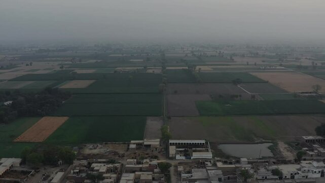 expansive farmland, showcasing vast green fields with scattered patches of agricultural plots