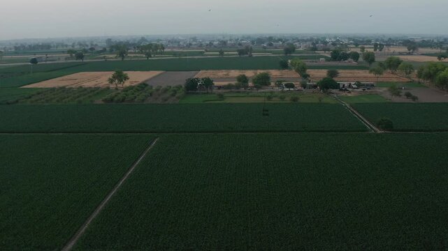 expansive farmland, showcasing vast green fields with scattered patches of agricultural plots