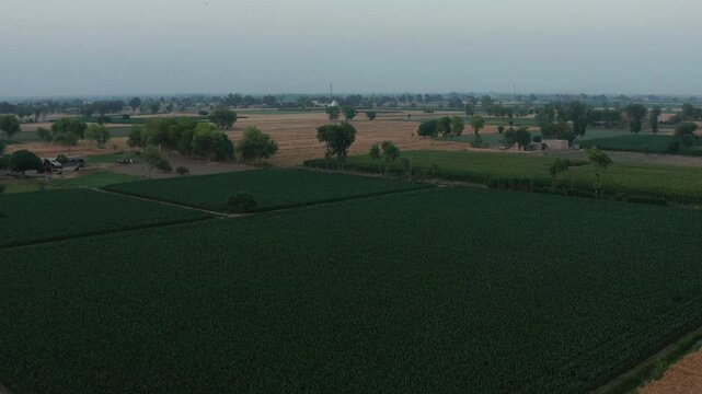 expansive farmland, showcasing vast green fields with scattered patches of agricultural plots
