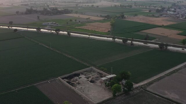 expansive farmland, showcasing vast green fields with scattered patches of agricultural plots
