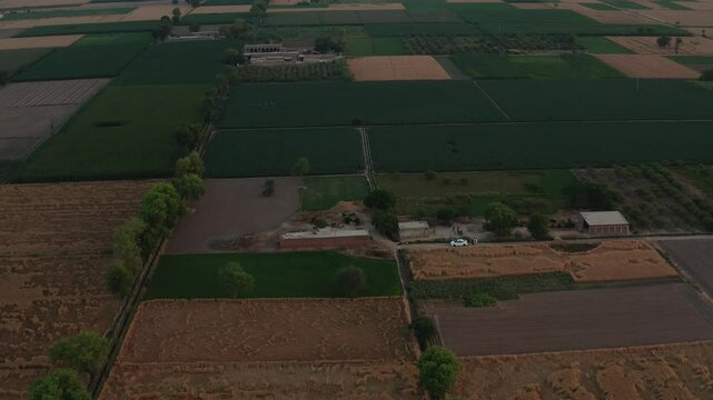 expansive farmland, showcasing vast green fields with scattered patches of agricultural plots