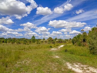 landscape with blue sky