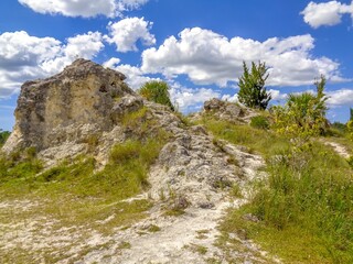 mountain landscape in summer