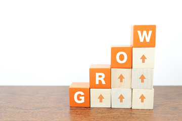 成長を表すGROWの文字と積み木の上昇グラフイメージ