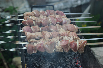 Raw meat being cooked over a fire on a metal skewer. Roasted meat cooked at barbecue. BBQ fresh...
