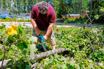 Person trims large branches in suburban area on clear day, clearing debris from yard.