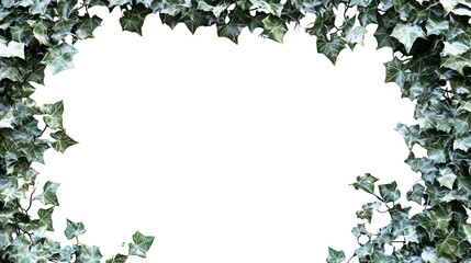 Fototapeta premium green leaves frame.PNG