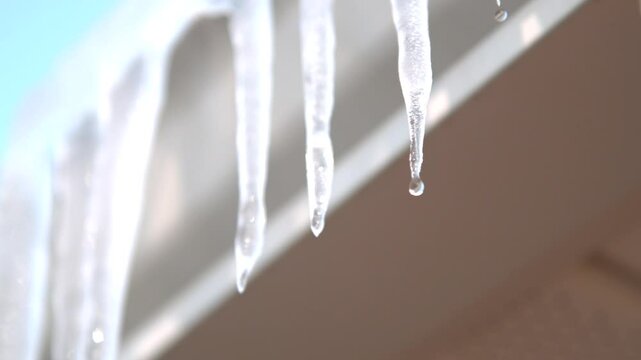 Droplet falls from icicle slow motion