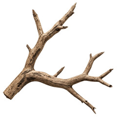 dead tree branch isolated on white background, PNG, dead branch PNG, white background branch, bare branch, dead wood, broken tree branch