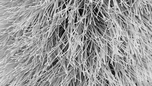 bristles of brush. abstract texture background for template pages and banners