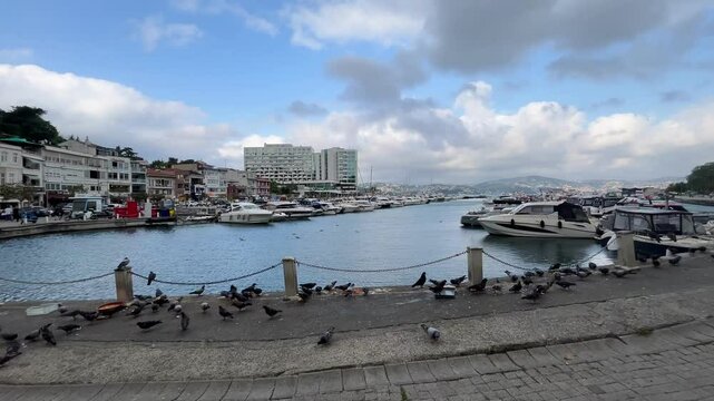 Tarabya Marina (Istmarin) panorama view in Istanbul, Turkey. (4K video)
