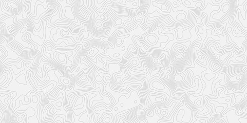 White topographic map pattern with contour lines showing elevation and terrain variations in a clean style showcases an abstract, seamless pattern of flowing, delicate lines  pure white background.