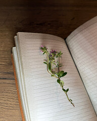 A fresh sprig of thyme lies on a culinary notebook, its seductive aroma calling you to new culinary...