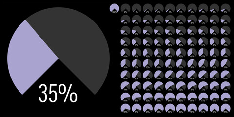 Set of circular sector arc percentage diagrams meters progress bar from 0 to 100 ready-to-use for web design, user interface UI or infographic - indicator with purple
