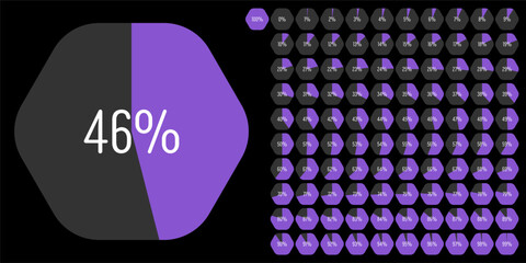 Set of hexagon percentage diagrams meters from 0 to 100 ready-to-use for web design, user interface UI or infographic - indicator with purple