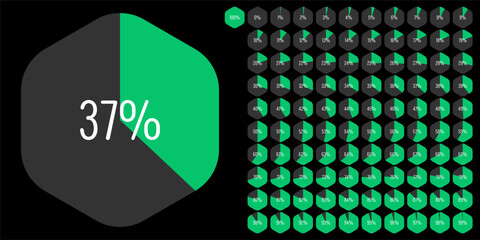 Set of hexagon percentage diagrams meters from 0 to 100 ready-to-use for web design, user interface UI or infographic - indicator with green