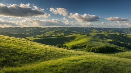 Fototapeta premium Expansive pastoral landscape: rolling green hills with sunlight creating a play of light and shadow
