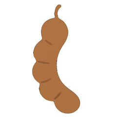 tamarind illustration vector on white background
Vector illustration icon fruits, vegetables on white background