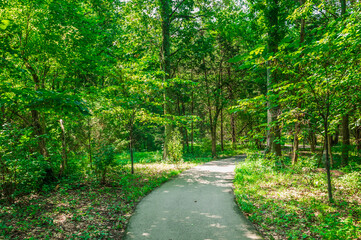 In the heart of the woods, the sculptures breathe life into the landscape, creating a harmonious...