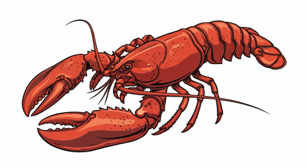 lobster on white background