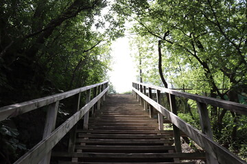 Fototapeta premium Outdoor and long stairs in wood. Wood stairs in a forest. Adventure and hiking. Climb exterior stairs. Stair steps in the middle of trees. Trail and walkway. Direction and upstair. Goal in life. 