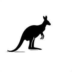 kangaroo vector illustration
