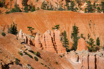 Closeup of orange rock hoodoos and dark green evergreen pine trees in nature’s amphitheater, summer vacation exploring in Bryce Canyon National Park, Utah
