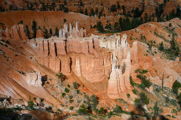 Sedimentary rock eroded into beautiful orange hoodoos in late afternoon sunlight, summer vacation exploring in Bryce Canyon National Park, Utah
