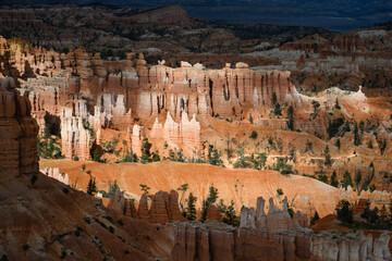 Natural geologic marvel of erosion on rocks to create beautiful hoodoos in an amphitheater, summer vacation exploring in Bryce Canyon National Park, Utah
