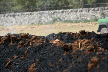 rogo bruciato dopo un incendio