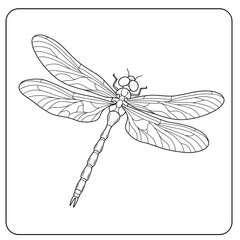 A finely detailed dragonfly seen from above, showcasing delicate wings, a segmented body, and symmetrical elegance in clean black-and-white line art.