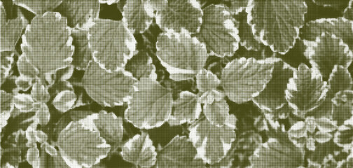Abstract spring green and white leaves pattern dotted halftone vector background. Monochrome meadow botanical geometric half tone dots textured print for banner, cover, texture, surface design