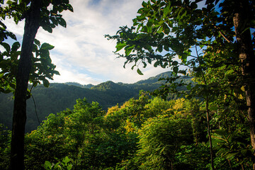 Tranquil Morning View of Pasuruan Mountains for Wellness