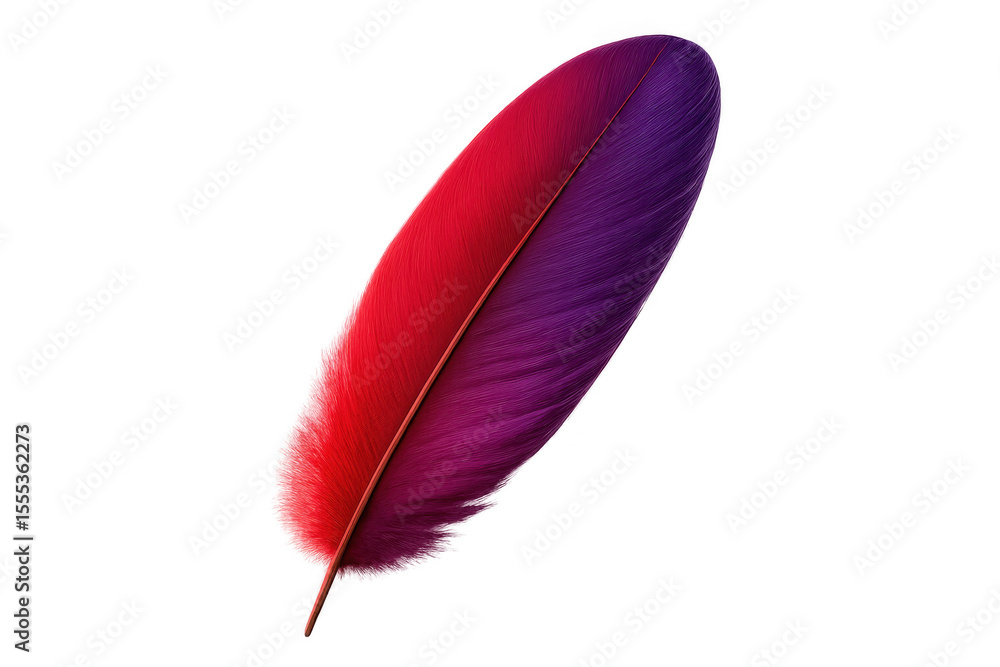 Poster translucent feather displaying gradient red and purple tones, softly curving against pristine white 