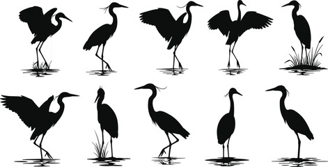 Silhouettes of heron birds standing and flying in water, wetland wildlife concept, birdwatching scene, vector illustration