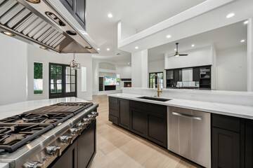modern kitchen interior