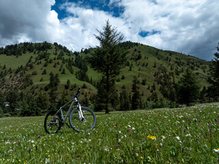 Aerial view of  mountain bike on flowering grassland mountains