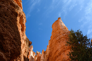 Looking up at dramatic rock spire hoodoo with blue sky and wispy white clouds above, summer vacation exploring in Bryce Canyon National Park, Utah

