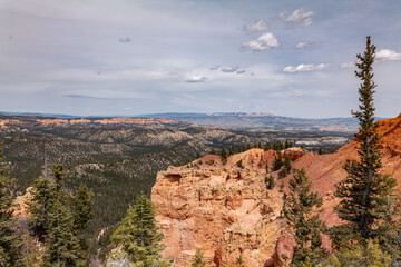 Bryce Canyon National Park, Utah. Claron Formation, (Tcp) Pink member; mudstone, sistone,...