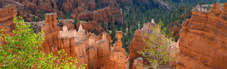 Thor’s Hammer rock formation and other hoodoos in morning light, summer vacation exploring in Bryce Canyon National Park, Utah
