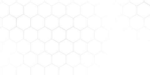 white beehive background. Honeycomb, bees hive cells pattern. Bee honey shapes. Geometric seamless texture symbol. Hexagon, hexagonal raster, mosaic cell sign or icon. Gradation.