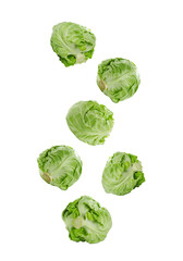 Fresh ripe cabbages falling on white background