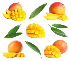 Sweet mango fruits and green leaves isolated on white, set