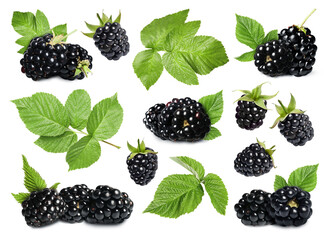 Fresh blackberries and green leaves on white background, collage