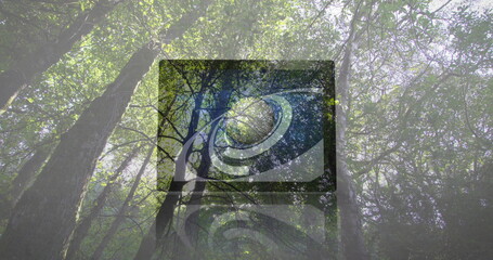Displaying large flat-panel display screen blending into dense forest clearing, spiral vortex art