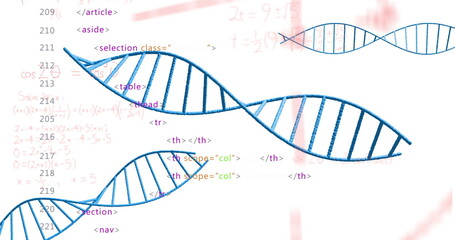 Displaying stylized blue DNA helices winding across white canvas, showing code and math equations