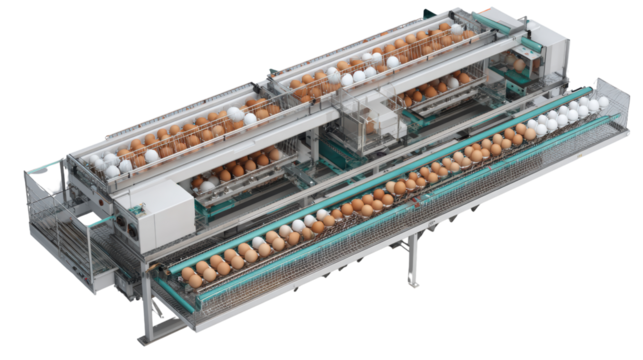 Automated egg production machinery on a white isolated background.